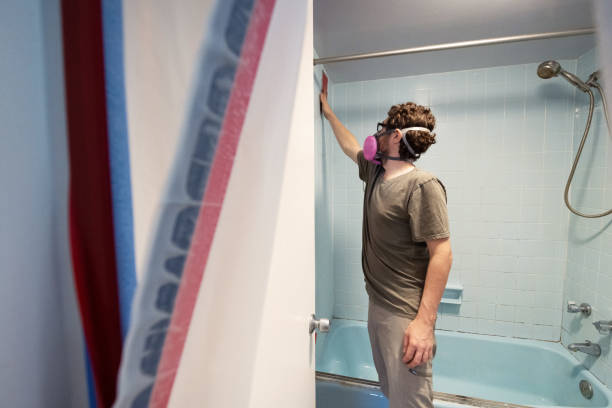 Best Real Estate Mold Inspection  in Medford, MN